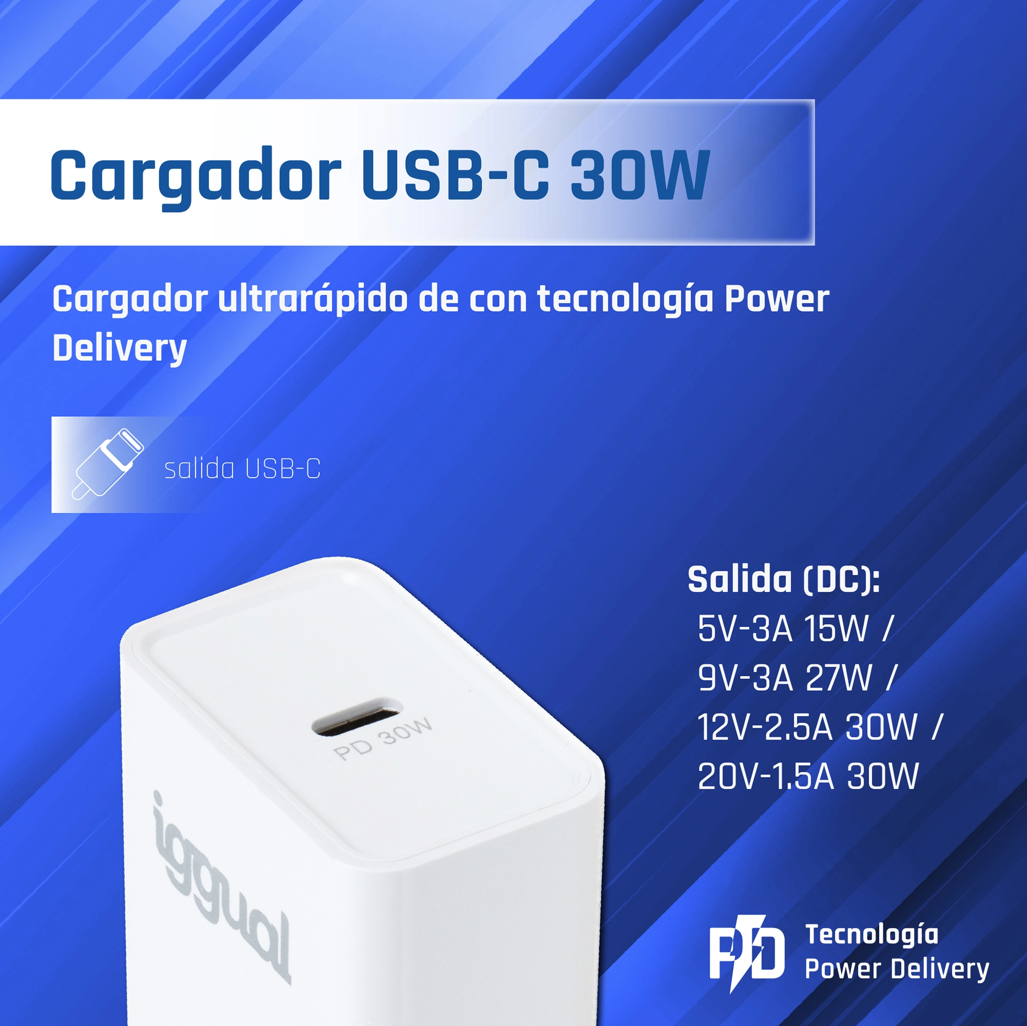 iggual Cargador rápido de pared USB PD tipo C 30W